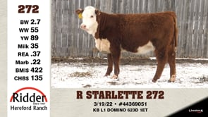 Lot #272 - R STARLETTE 272