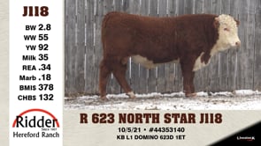 Lot #J118 - R 623 NORTH STAR J118