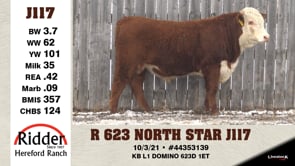 Lot #J117 - R 623NORTH STAR J117