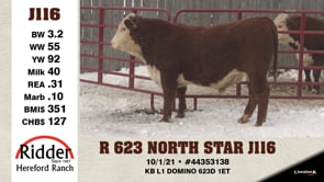 Lot #J116 - R 623 NORTH STAR J116
