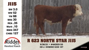 Lot #J115 - R 623 NORTH STAR J115
