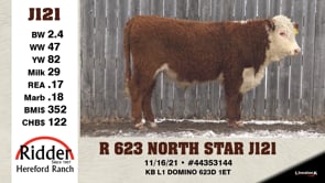 Lot #J121 - R 623 NORTH STAR J121