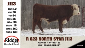 Lot #J113 - R 623 NORTH STAR J113