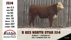 Lot #J114 - R 623 NORTH STAR J114