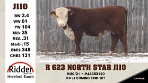 Lot #J110 - OUT -- R 623 NORTH STAR J110