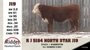 Lot #J19 - R J 5184 NORTH STAR J19