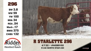 Lot #296 - R STARLETTE 296