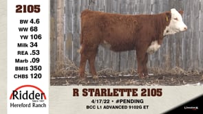 Lot #2105 - R STARLETTE 2105