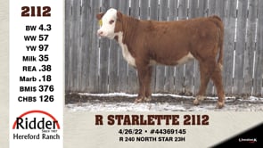 Lot #2112 - R STARLETTE 2112