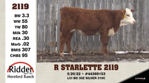 Lot #2119 - R STARLETTE 2119