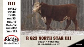 Lot #J111 - OUT -- R 623 NORTH STAR J111