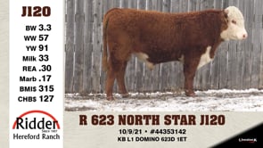 Lot #J120 - R 623 NORTH STAR J120