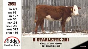 Lot #261 - R STARLETTE 261