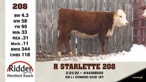Lot #208 - R STARLETTE 208