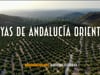Spot Joyas de Andalucía 