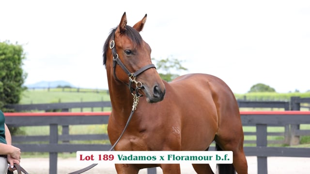 Lot 189