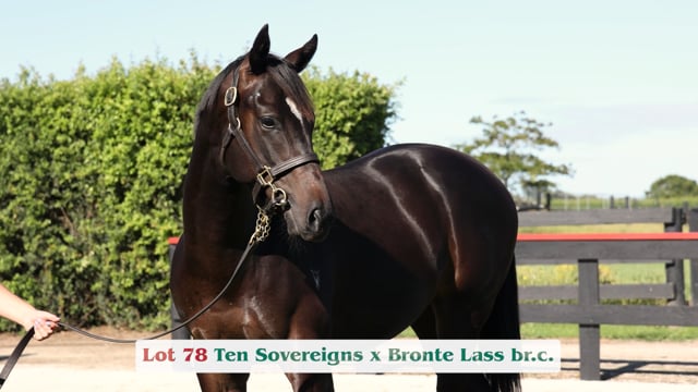 Lot 78