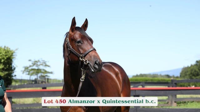 Lot 450