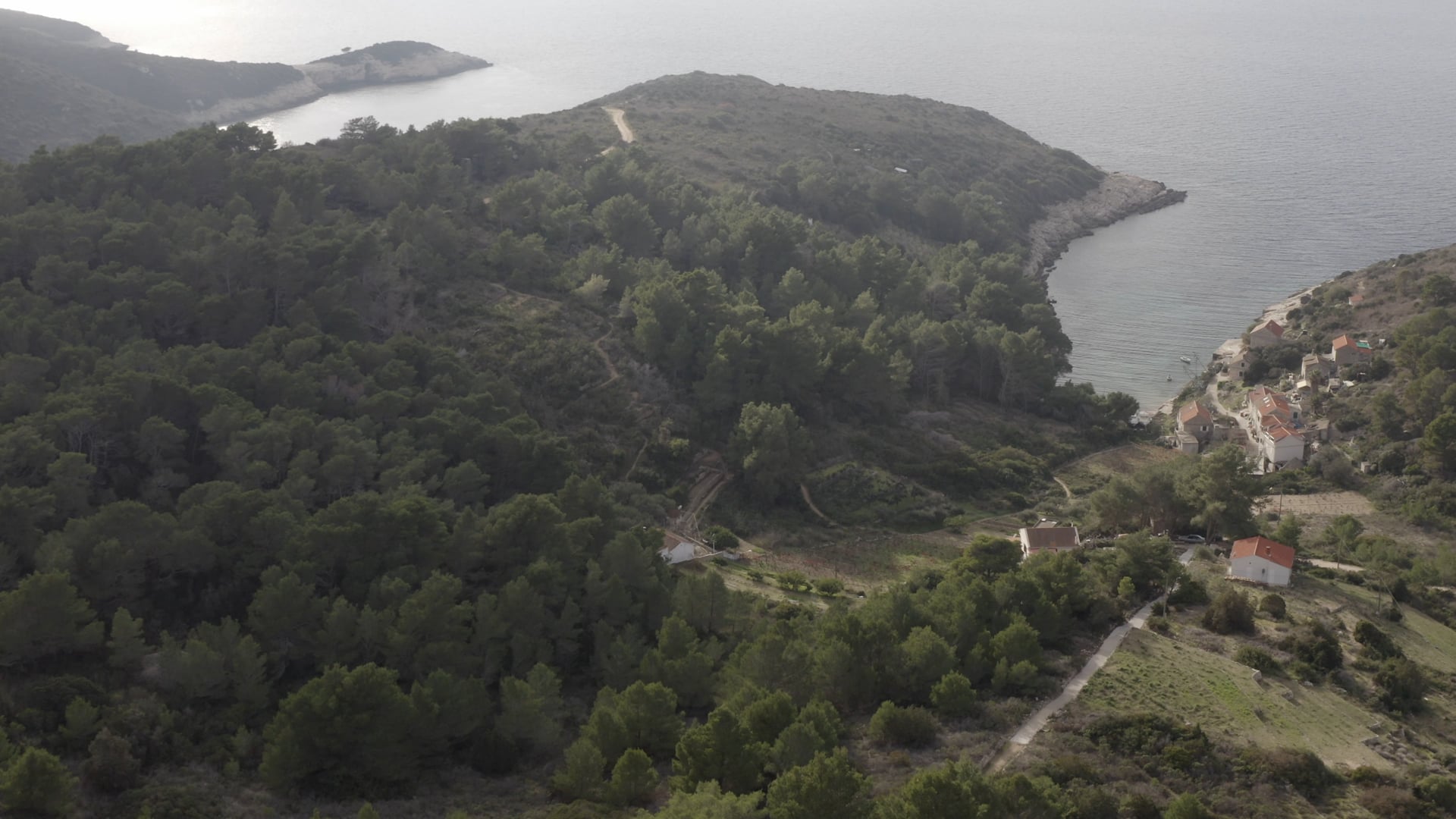Forest around the houses in the small bay