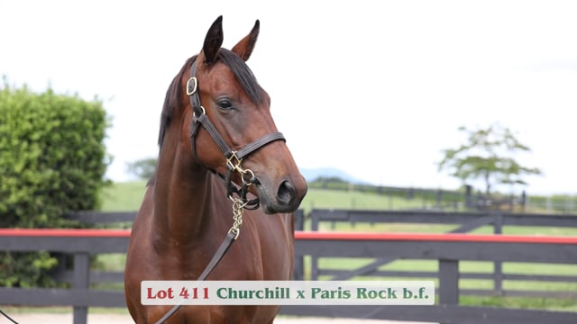 Lot 411