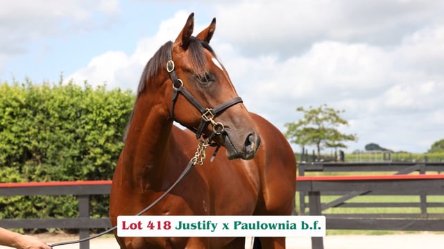 Lot 418