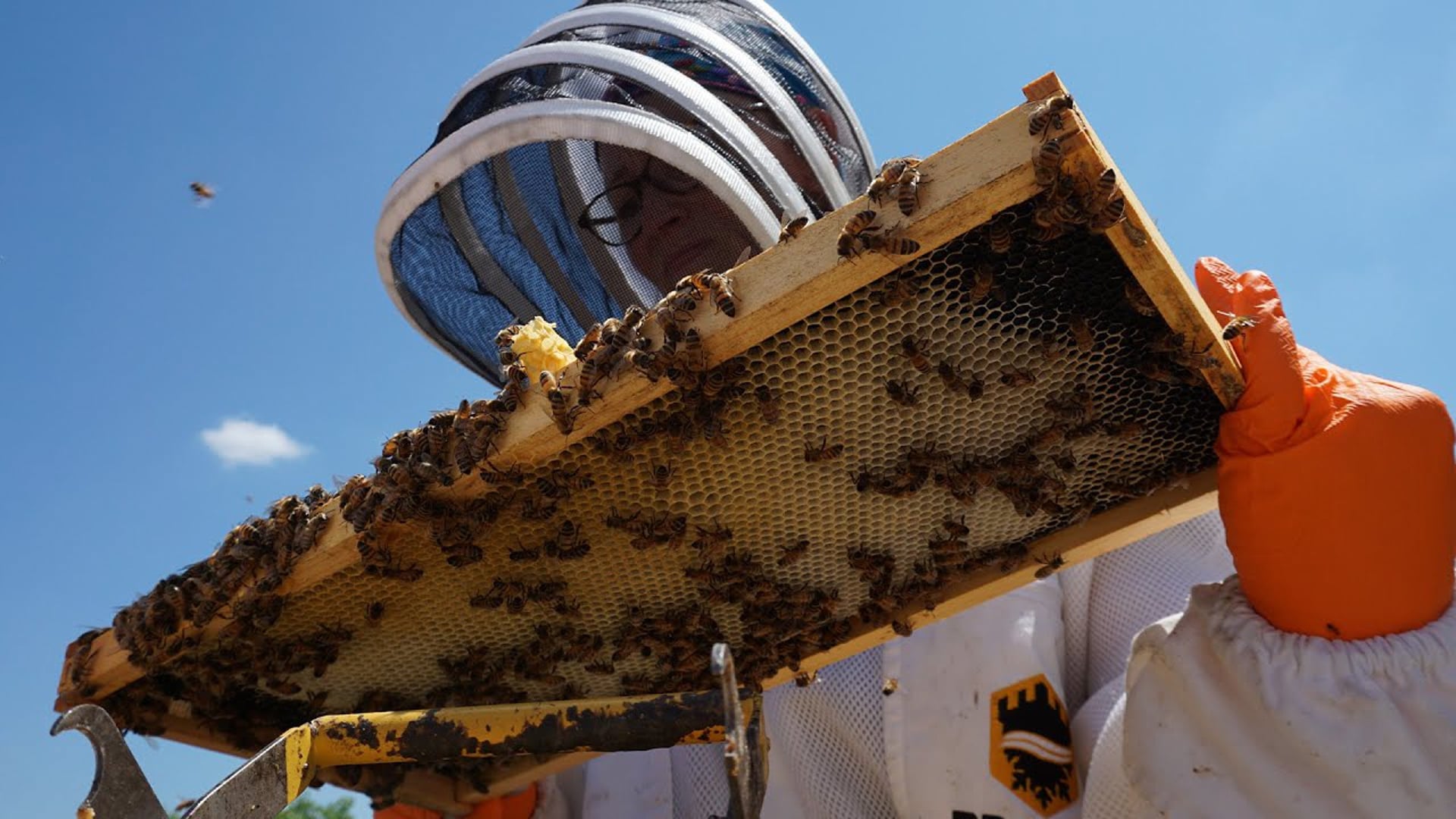 Sparrowly Group - Export Ready Development Program