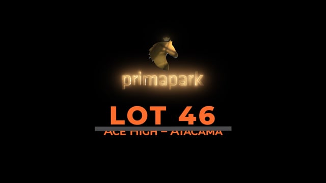 Lot 46