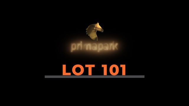 Lot 101