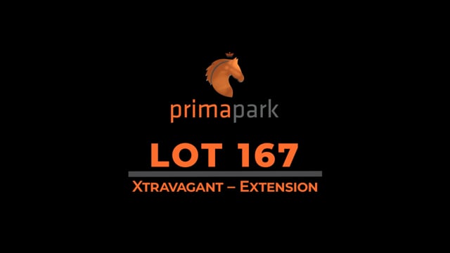 Lot 167