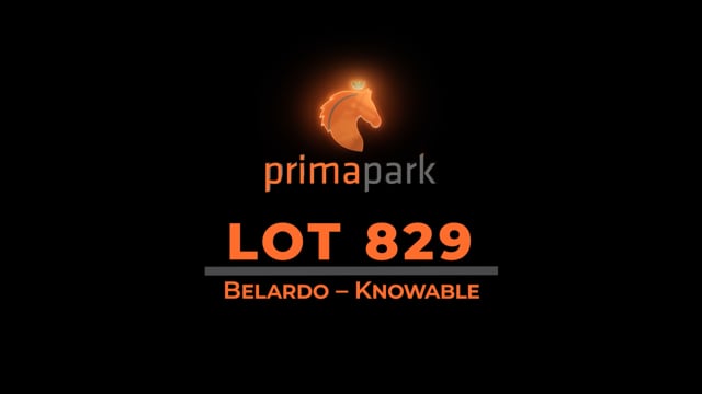 Lot 829