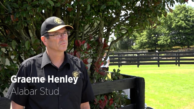 2023 STB Yearling Sale | Graeme Henley Interview