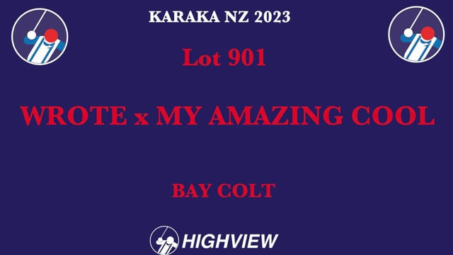 Lot 901