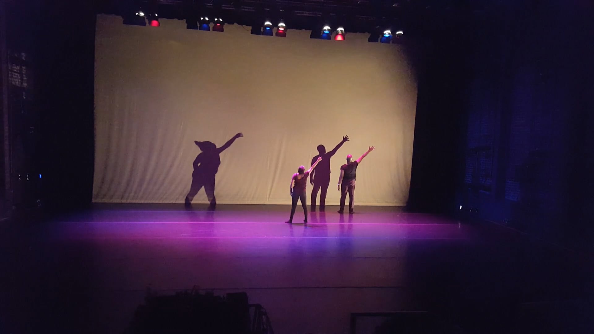 N.I.A Visceral Roots Dance Co.