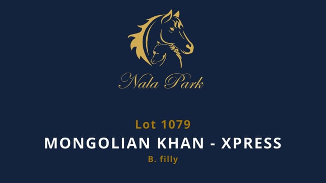 Lot 1079