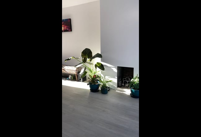 Large Double Room in Desirable Area Main Photo