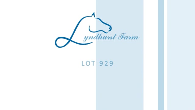 Lot 929
