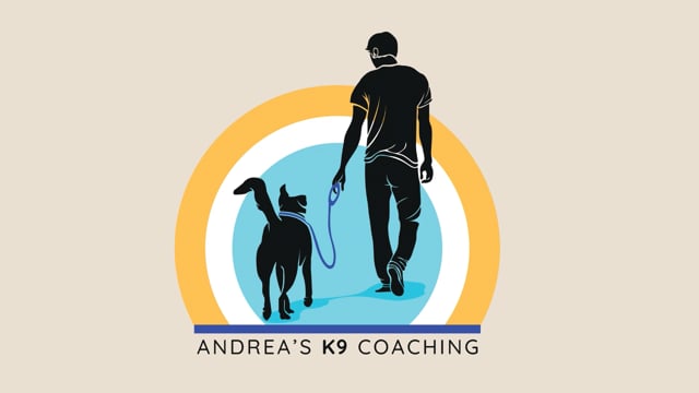Things to do With a Leash on Your Dog