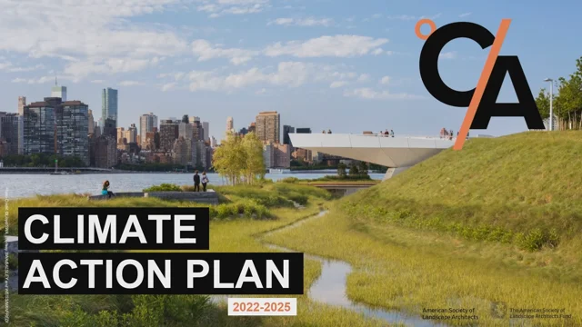 New York City Greenery Absorbing All Traffic Emissions on Many Summer Days  - Yale E360