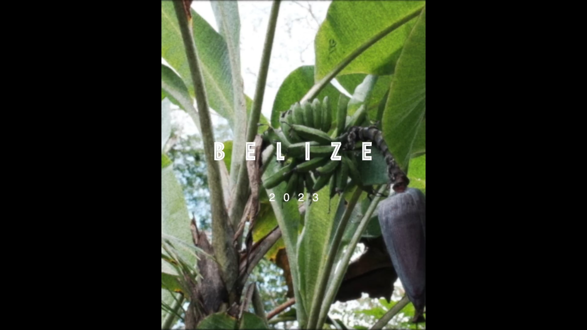 2023 Western Belize experience