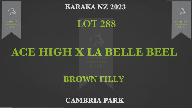 Lot 288