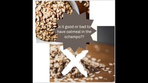 Is oatmeal really bad for the dogs skin? Learn more about this common myth