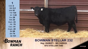 Lot #1 - BOWMAN STELLAR 232