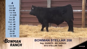 Lot #4 - BOWMAN STELLAR 208