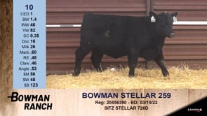 Lot #10 - BOWMAN STELLAR 259