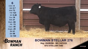 Lot #6 - BOWMAN STELLAR 276