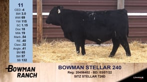 Lot #11 - BOWMAN STELLAR 240