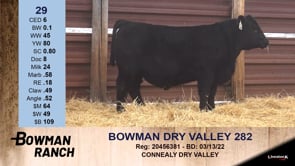 Lot #29 - BOWMAN DRY VALLEY 282