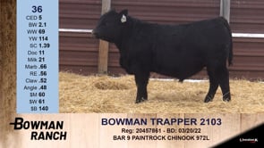 Lot #36 - BOWMAN TRAPPER 2103
