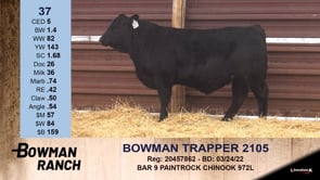 Lot #37 - OUT--- BOWMAN TRAPPER 2105