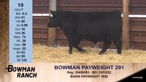 Lot #19 - BOWMAN PAYWEIGHT 291
